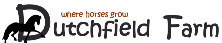 test.dutchfieldfarm.com